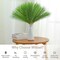 50pcs 22" Green Pampas Grass - Faux Pampas Grass Decor Artificial Pampas Grass for Tabke Vase Fluffy Artificial Pampas Grass for Boho Home Wedding Mothers Day Decoration